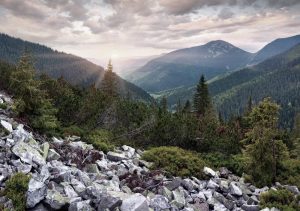 Alpes Valley - Alpinum Investment Funds - Blog