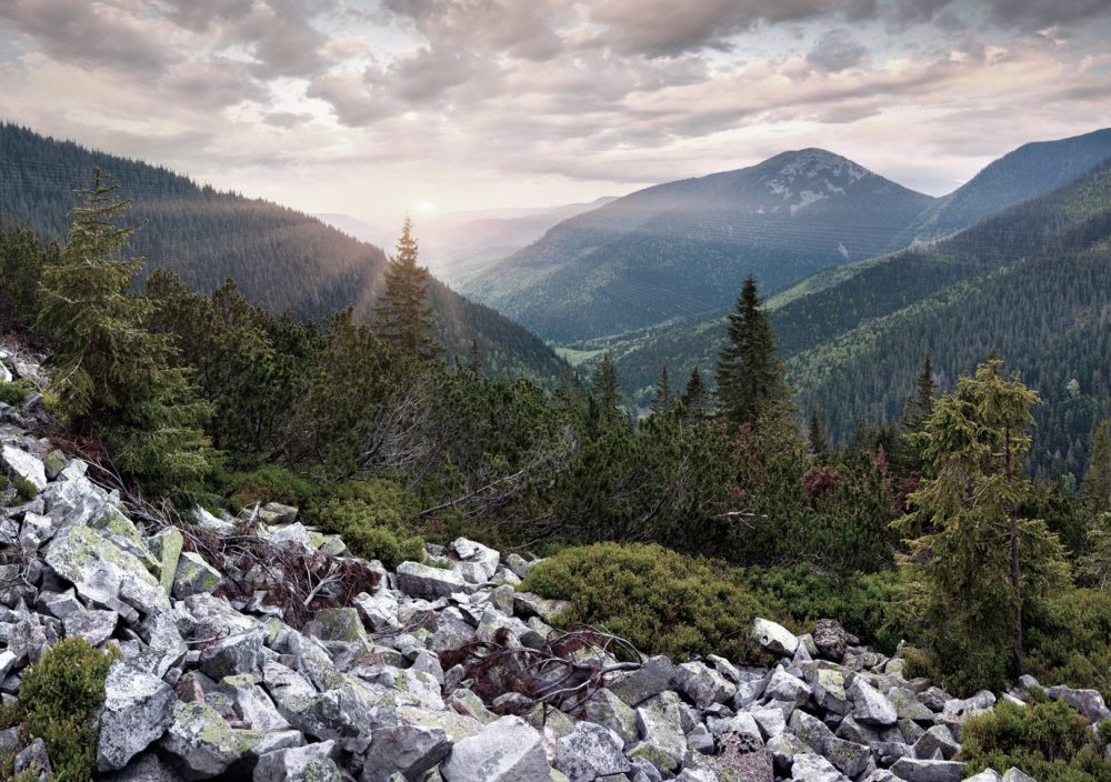 Alpes Valley - Alpinum Investment Funds - Blog