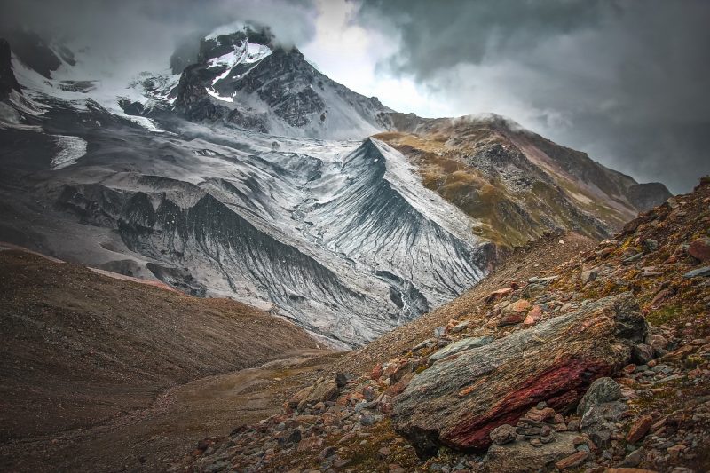 Alpinum Quarterly Investment Letter 2-2020