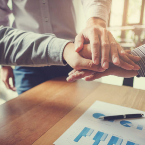 investment Expert Team Alpinum Investment Management