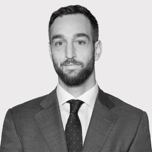 Carlos de Vega - Alpinum Investment Management AG